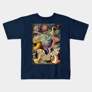 Sea Anemones by Ernst Haeckel Kids T-Shirt